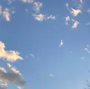 ももの画像