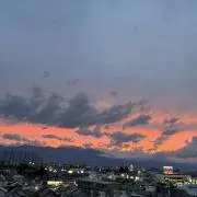Koharuの画像