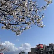 ミラ
