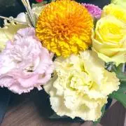 ニャンコロの画像