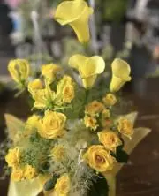 ポニョ•◡•ꕤ*の画像