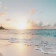 miyakoの画像
