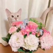 ♡PATORA♡の画像
