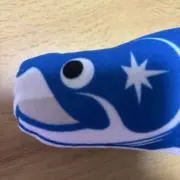 しゃけの画像