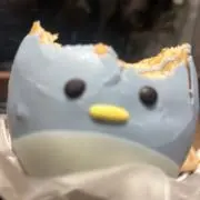 tokoの画像