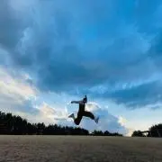 juicy【24時間以内匿名配送】の画像