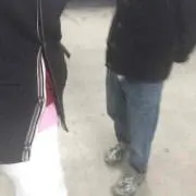 飛竜