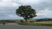 ambikaの画像