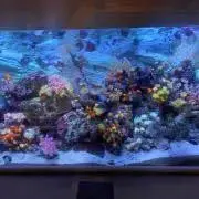 ゆえの画像