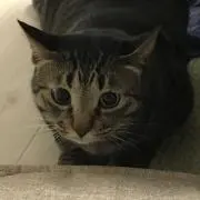まひろ