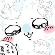 ひびきちゃんの画像