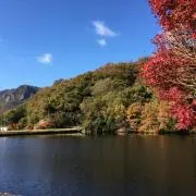 NORI-Bの画像