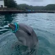 ちゃん味★の画像