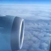 すずき