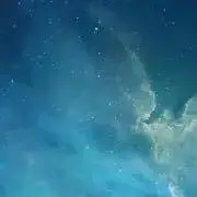 ハシモト