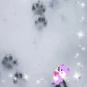 ☆ひまわり☆の画像