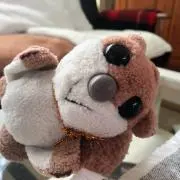 ももちゃんの画像