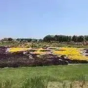 にくぐみの画像