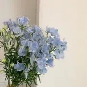 Konatsu♡お値下げ致します♡の画像