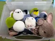 モフモフ職人