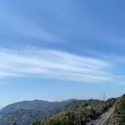 pinoの画像