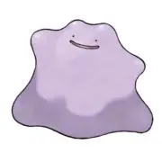 nikoの画像