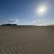 Koh