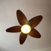 Rの画像
