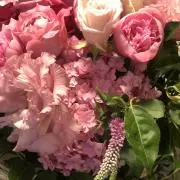 ムーンラビット ☆お値段ご相談ください☆の画像