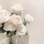 yuの画像