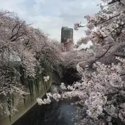 フク