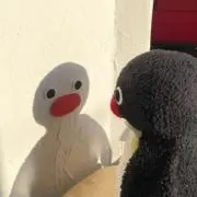 0b13yの画像