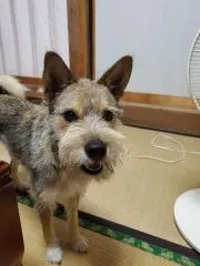 そらの画像