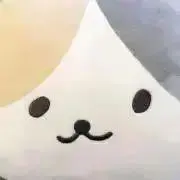 マシューの画像