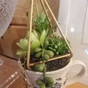 千茶☆プロフ必読お願いします。
