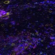 たっつんパパの画像