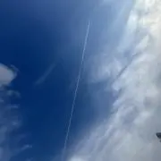koara☆の画像