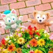 そるてぃん@※プロフ必読※の画像