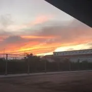ごとう