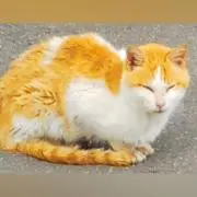 Kazuの画像