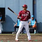 ハセの画像