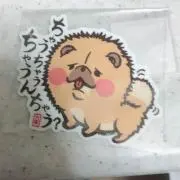 KU☺︎メッセージ最小限で大丈夫ですの画像