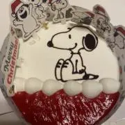 ぷる⭐︎即購入歓迎の画像