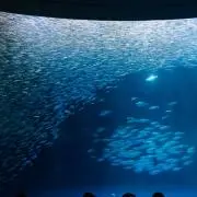 きりん☺︎の画像