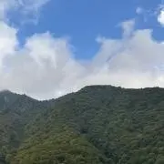Jiji Comeřiの画像