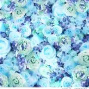 m⑅﻿プロフ必読 担降り済みの画像