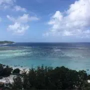 noryの画像