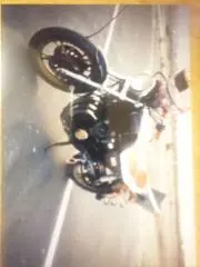 ミックの画像
