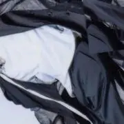 みの画像