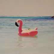 かるみんの画像